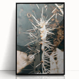Close-Up Cactus Spines - Rustic Desert Farmhouse Wall Art for Country Decor