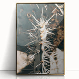 Close-Up Cactus Spines - Rustic Desert Farmhouse Wall Art for Country Decor