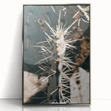 Close-Up Cactus Spines - Rustic Desert Farmhouse Wall Art for Country Decor
