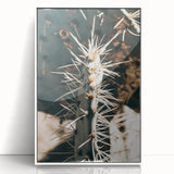 Close-Up Cactus Spines - Rustic Desert Farmhouse Wall Art for Country Decor
