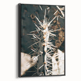 Close-Up Cactus Spines - Rustic Desert Farmhouse Wall Art for Country Decor
