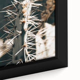 Close-Up Cactus Spines - Rustic Desert Farmhouse Wall Art for Country Decor