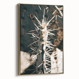 Close-Up Cactus Spines - Rustic Desert Farmhouse Wall Art for Country Decor