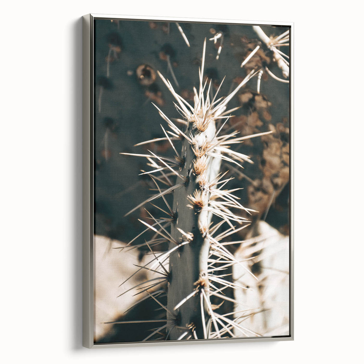 Close-Up Cactus Spines - Rustic Desert Farmhouse Wall Art for Country Decor