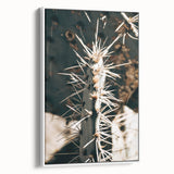 Close-Up Cactus Spines - Rustic Desert Farmhouse Wall Art for Country Decor