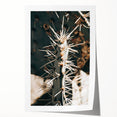 Close-Up Cactus Spines - Rustic Desert Farmhouse Wall Art for Country Decor