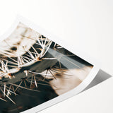 Close-Up Cactus Spines - Rustic Desert Farmhouse Wall Art for Country Decor