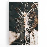 Close-Up Cactus Spines - Rustic Desert Farmhouse Wall Art for Country Decor