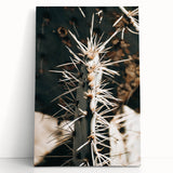 Close-Up Cactus Spines - Rustic Desert Farmhouse Wall Art for Country Decor