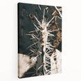 Close-Up Cactus Spines - Rustic Desert Farmhouse Wall Art for Country Decor