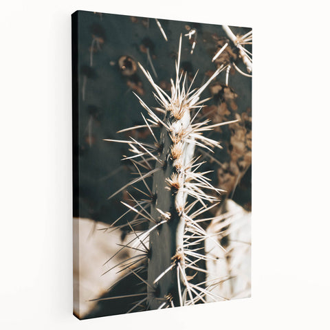 Close-Up Cactus Spines - Rustic Desert Farmhouse Wall Art for Country Decor