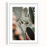 Clustered Cactus Pads - Rustic Desert-Inspired Farmhouse Wall Art Print