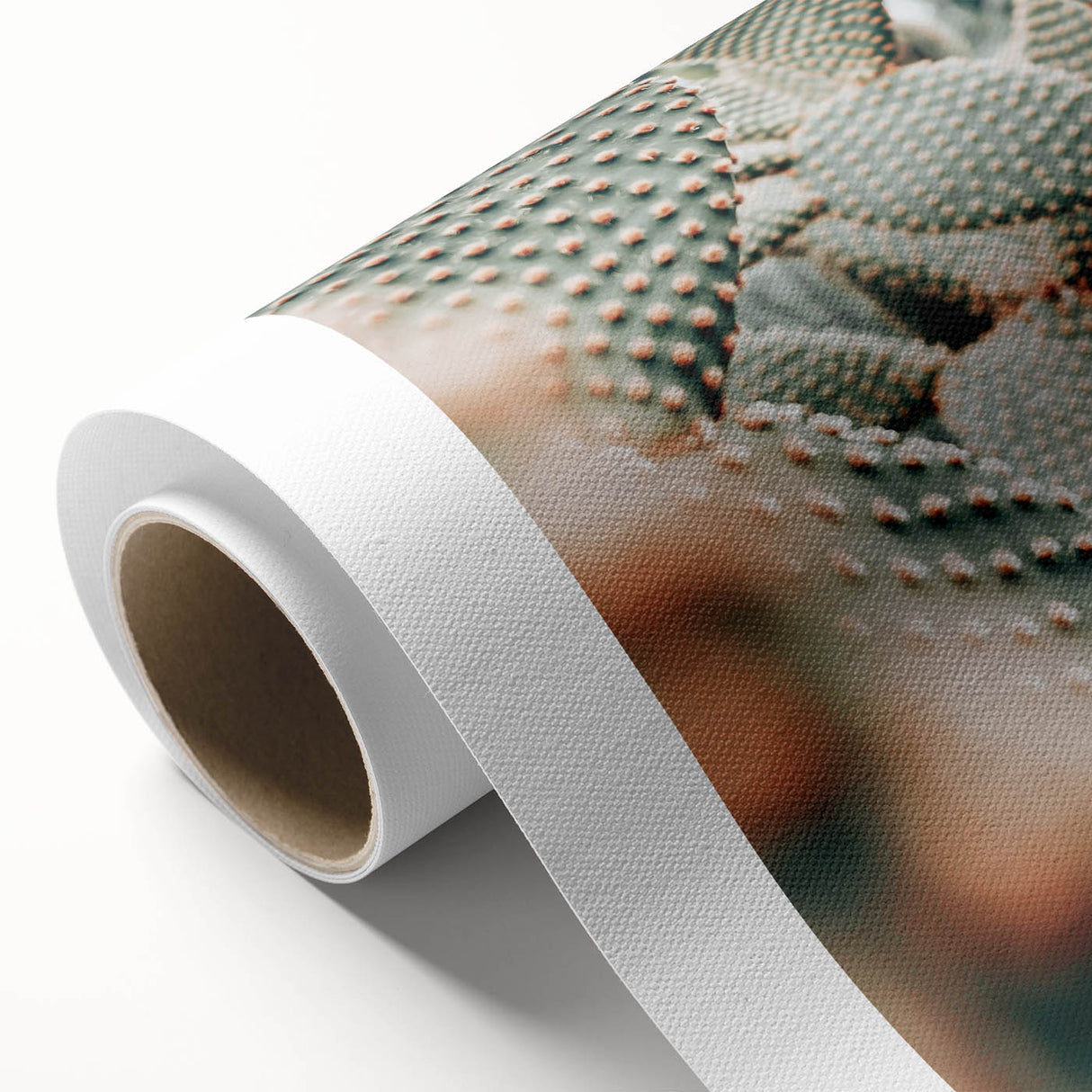 Clustered Cactus Pads - Rustic Desert-Inspired Farmhouse Wall Art Print
