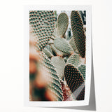 Clustered Cactus Pads - Rustic Desert-Inspired Farmhouse Wall Art Print