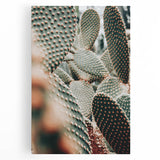 Clustered Cactus Pads - Rustic Desert-Inspired Farmhouse Wall Art Print