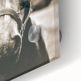 Gentle Horse Portrait - Rustic Farmhouse Wall Art for Country Decor