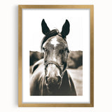 Gentle Horse Portrait - Rustic Farmhouse Wall Art for Country Decor
