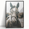 Gentle Horse Portrait - Rustic Farmhouse Wall Art for Country Decor