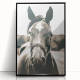 Gentle Horse Portrait - Rustic Farmhouse Wall Art for Country Decor