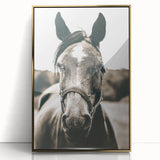 Gentle Horse Portrait - Rustic Farmhouse Wall Art for Country Decor