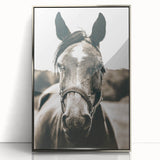 Gentle Horse Portrait - Rustic Farmhouse Wall Art for Country Decor
