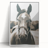 Gentle Horse Portrait - Rustic Farmhouse Wall Art for Country Decor