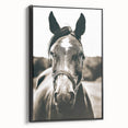 Gentle Horse Portrait - Rustic Farmhouse Wall Art for Country Decor