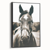 Gentle Horse Portrait - Rustic Farmhouse Wall Art for Country Decor