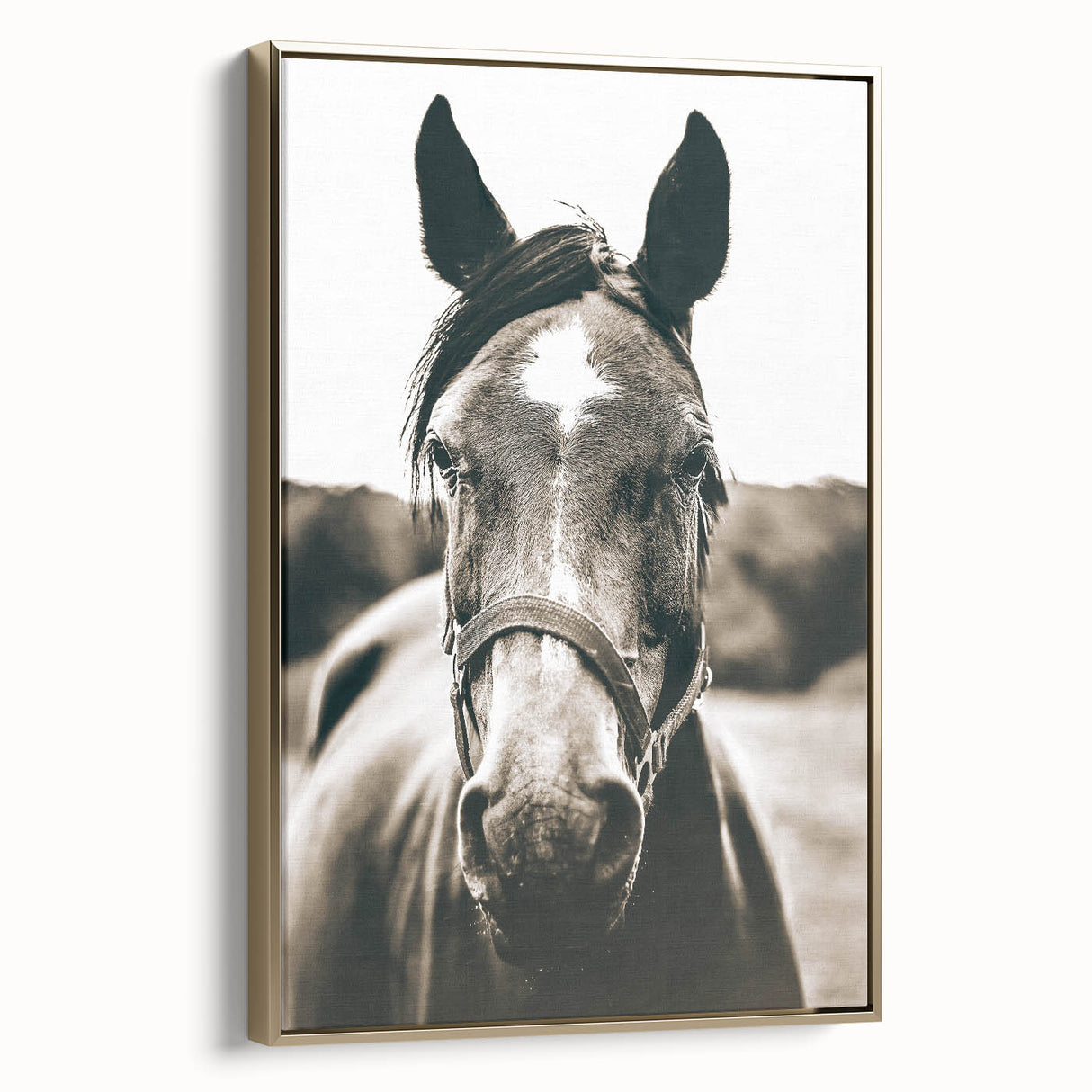 Gentle Horse Portrait - Rustic Farmhouse Wall Art for Country Decor