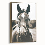 Gentle Horse Portrait - Rustic Farmhouse Wall Art for Country Decor
