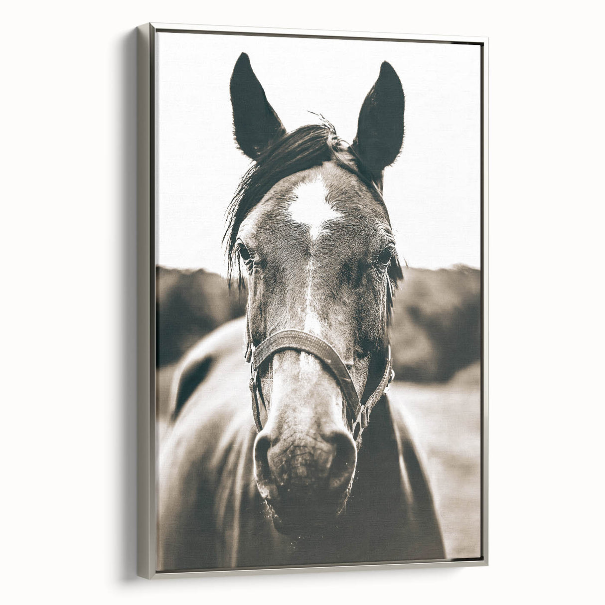 Gentle Horse Portrait - Rustic Farmhouse Wall Art for Country Decor