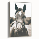 Gentle Horse Portrait - Rustic Farmhouse Wall Art for Country Decor