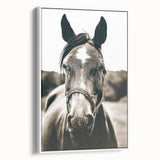 Gentle Horse Portrait - Rustic Farmhouse Wall Art for Country Decor
