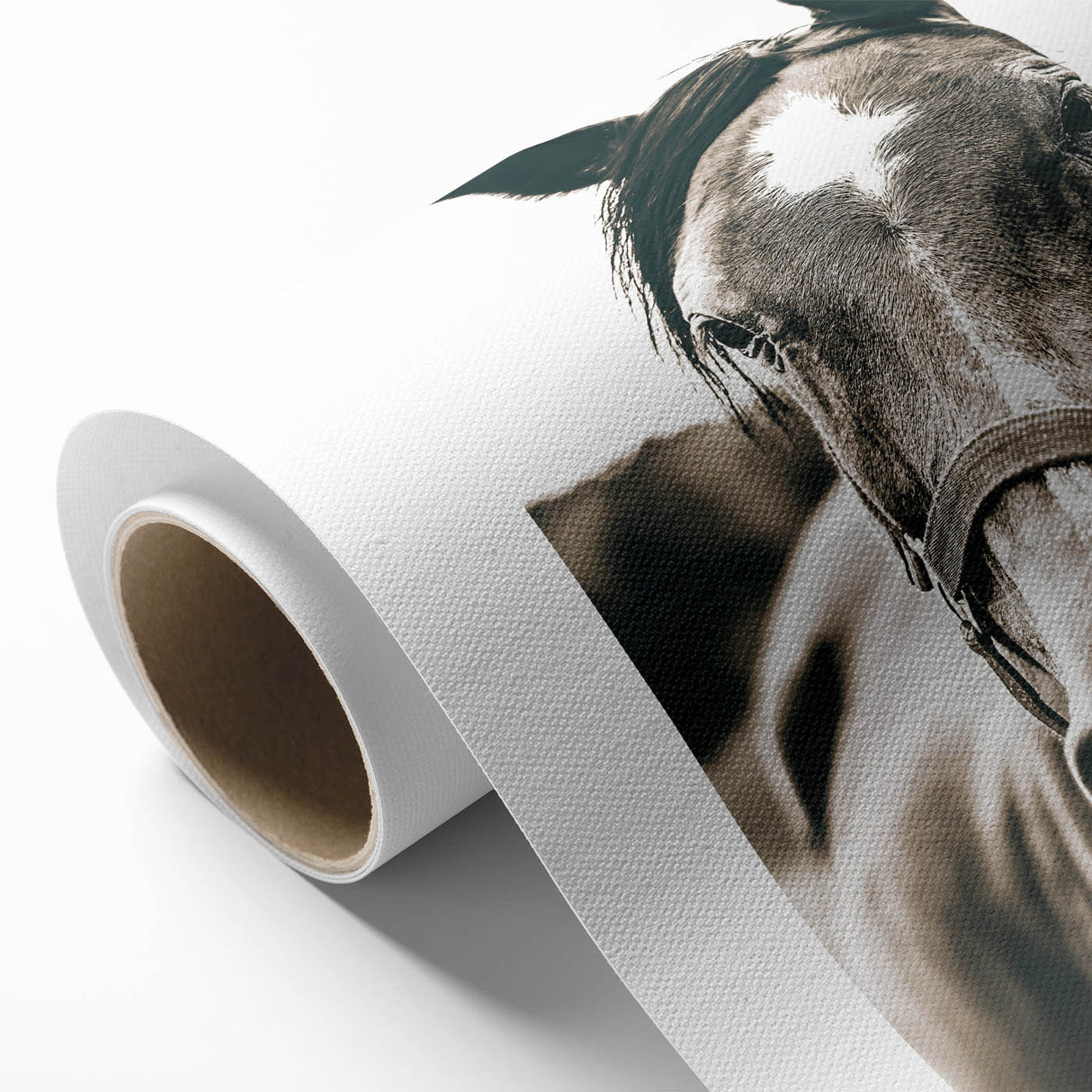 Gentle Horse Portrait - Rustic Farmhouse Wall Art for Country Decor