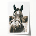 Gentle Horse Portrait - Rustic Farmhouse Wall Art for Country Decor