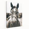 Gentle Horse Portrait - Rustic Farmhouse Wall Art for Country Decor
