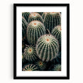 Cluster of Cacti - Rustic Desert-Inspired Farmhouse Wall Art for Home Decor