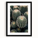Cluster of Cacti - Rustic Desert-Inspired Farmhouse Wall Art for Home Decor