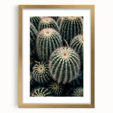 Cluster of Cacti - Rustic Desert-Inspired Farmhouse Wall Art for Home Decor