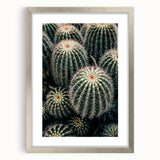 Cluster of Cacti - Rustic Desert-Inspired Farmhouse Wall Art for Home Decor