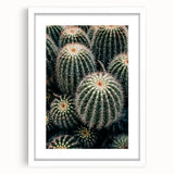Cluster of Cacti - Rustic Desert-Inspired Farmhouse Wall Art for Home Decor