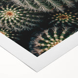 Cluster of Cacti - Rustic Desert-Inspired Farmhouse Wall Art for Home Decor