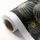 Cluster of Cacti - Rustic Desert-Inspired Farmhouse Wall Art for Home Decor