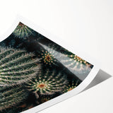 Cluster of Cacti - Rustic Desert-Inspired Farmhouse Wall Art for Home Decor