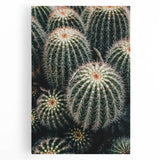 Cluster of Cacti - Rustic Desert-Inspired Farmhouse Wall Art for Home Decor
