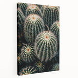 Cluster of Cacti - Rustic Desert-Inspired Farmhouse Wall Art for Home Decor