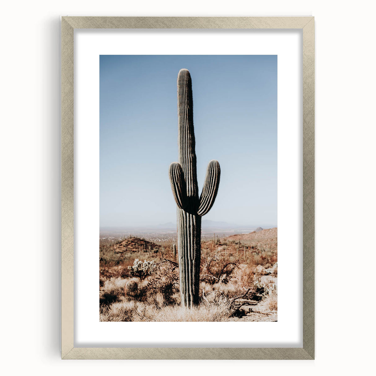 Desert Cactus Landscape - Rustic Farmhouse Wall Art for Country Decor