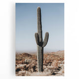Desert Cactus Landscape - Rustic Farmhouse Wall Art for Country Decor