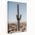 Desert Cactus Landscape - Rustic Farmhouse Wall Art for Country Decor