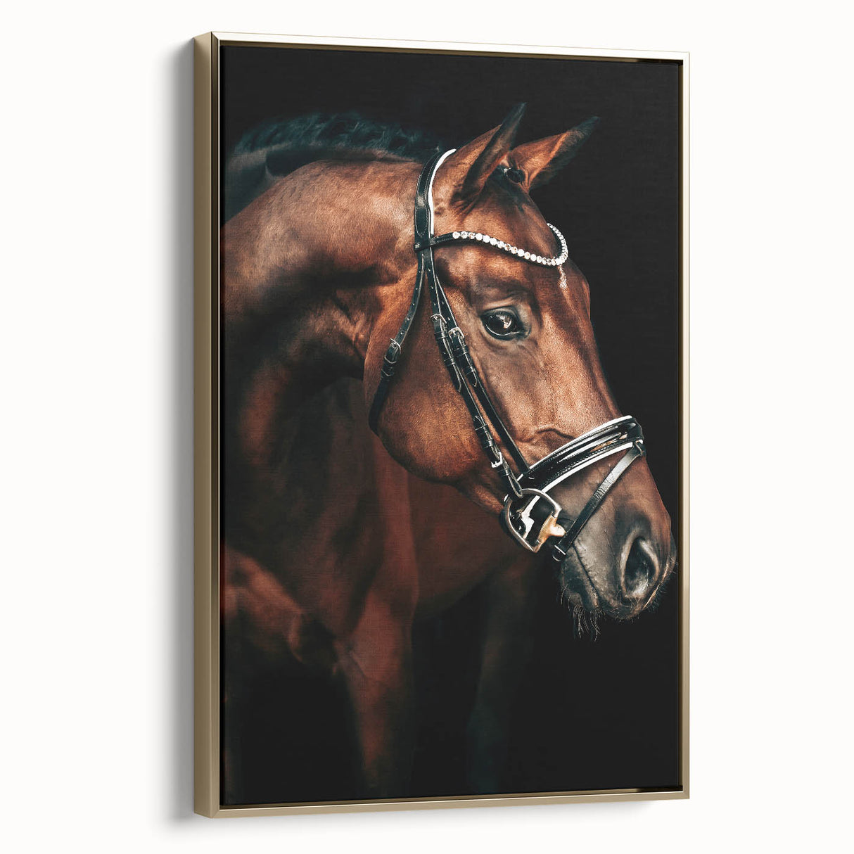 Elegant Horse Portrait - Rustic Farmhouse Wall Art for Country Decor